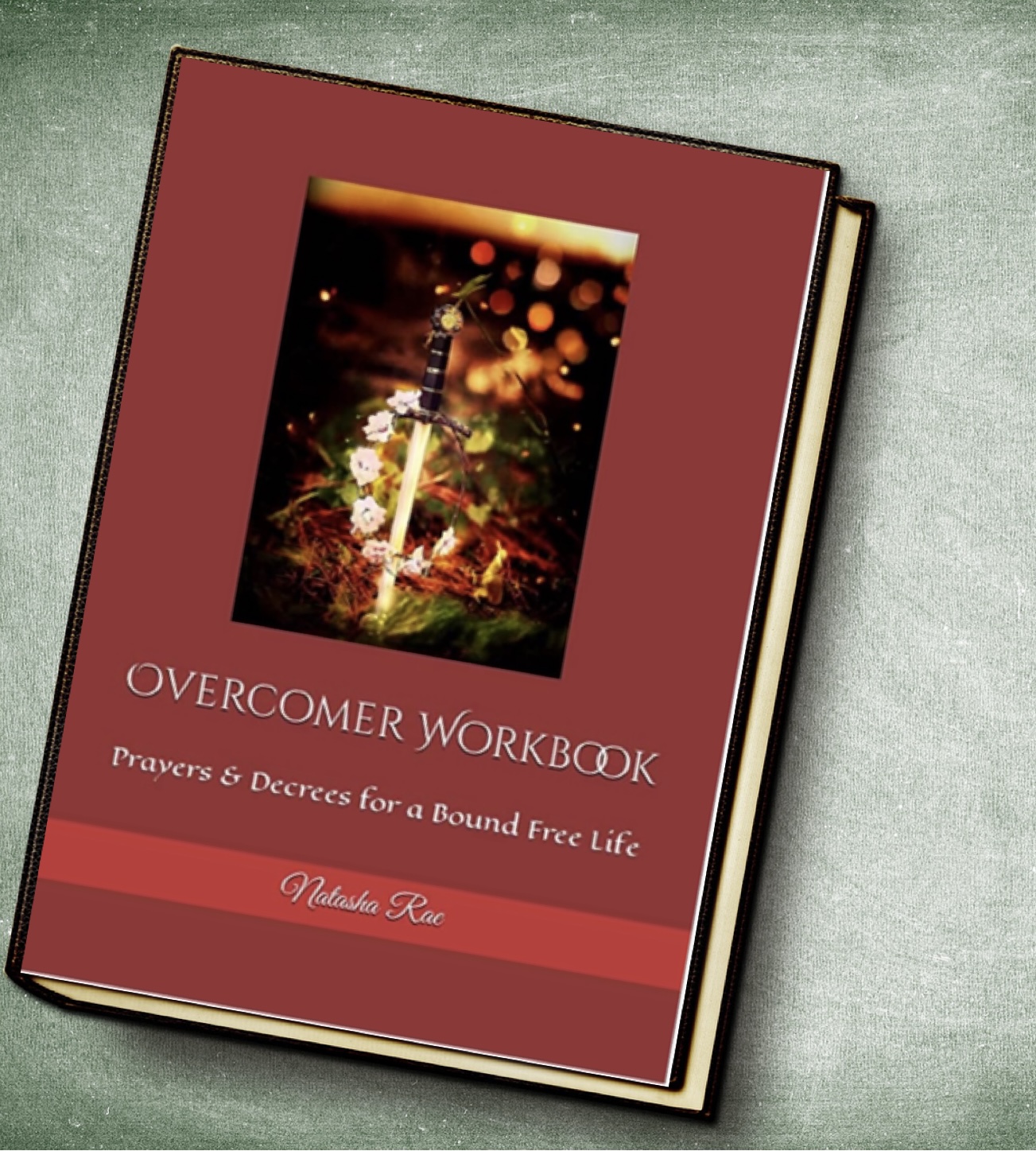 Overcomer Workbook: Prayers & Decrees for a Bound Free Life